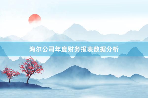 海尔公司年度财务报表数据分析